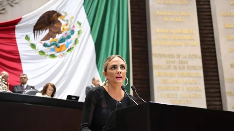 Tania Palacios Kuri_Hoteles deberán verificar parentesco de adultos con menores