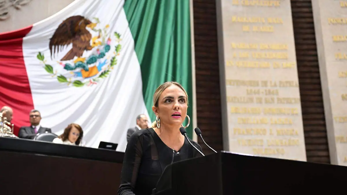 Tania Palacios Kuri_Hoteles deberán verificar parentesco de adultos con menores